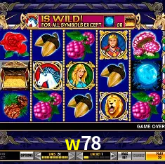 w78 Brasília - VIP Program